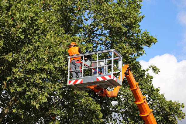 Landscape Design and Installation in Hastings, MN